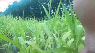wanking in the cornfield and cumming in the woods