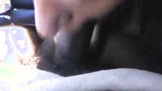 hoe swallow