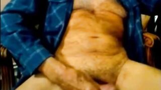 Grandpa bear cums