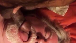Daddy sucking  cub