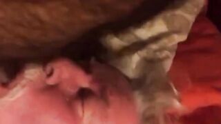 Daddy sucking  cub