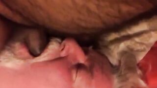Daddy sucking  cub