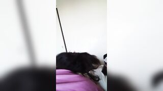 She Let Me Cum Inside Her Mouth