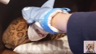 Cosplay with Furry twat ... Having Fun rough with sharks.