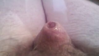 Masturbate very tiny dick with monkey spanker!