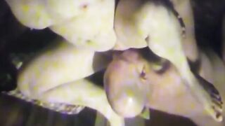 Eating out a horny 44yo married cheater