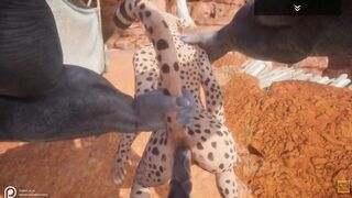 Wild Life / NEW Gulhragg with the Cheetah sluts