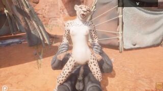 Wild Life / NEW Gulhragg with the Cheetah sluts