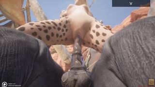 Wild Life / NEW Gulhragg with the Cheetah sluts