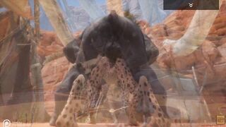 Wild Life / NEW Gulhragg with the Cheetah sluts
