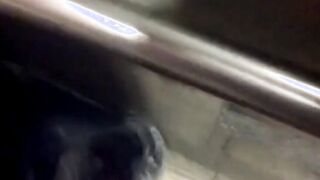 Bar Restroom - Demands Stranger To Ram Her Ass