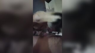Hungarian bad bimbos Bj