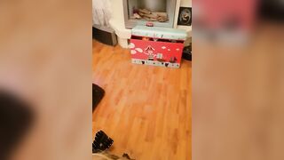 Me sucking cock