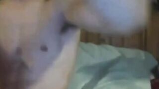 WEBCAM SMOOTHIE 002