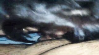 3rabe JOI plowed ass sex