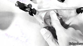 submissive fuck pussy wide open with clamps