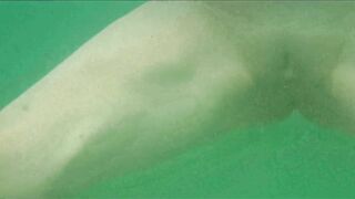 Chrissi nude swimming inside Mediterranean Sea