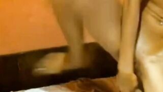 Very hard masturbation with sex sex toys. Love get orgasm