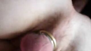 Arab Bareback breeding in Toronto - rolem
