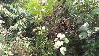 Miss classy having adventure inside the bush