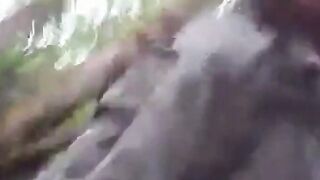 Sucking in the park
