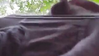 Sucking in the park
