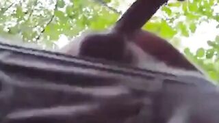Sucking in the park