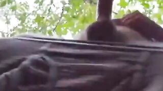 Sucking in the park