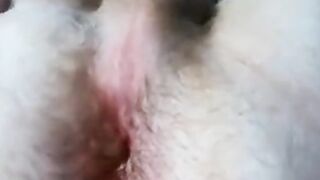 sub taaaanga wanking  his twinky sub cock to cum for you