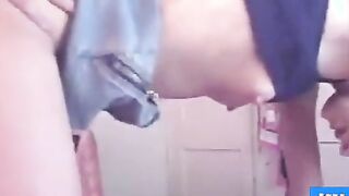 small titty doggie (no sound)