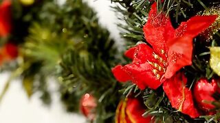 Seth Gamble loves Christmas, especially now that he has Vanna Bardot as a stepsister. He