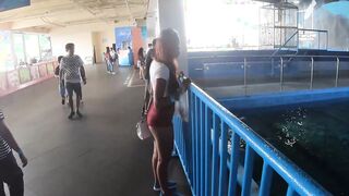 Perfect ass Thai girlfriend sex at home