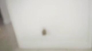 Comforting My Stepsis
