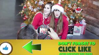 A Taste of the Holidays