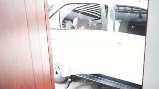 CARNEDELMERCADO - Long Boobed Latina wants Hard Penis in her Juicy Pussy - MAMACITAZ