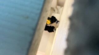 Spy Under Wc Door