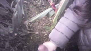 Hand Job in the field with much cum