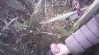 Hand Job in the field with much cum