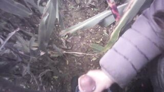 Hand Job in the field with much cum