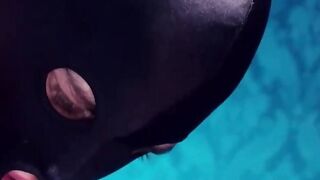 Caged whore fucking two long dicks hard