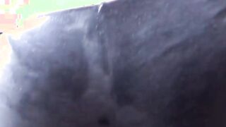 MAMACITAZ - Incredible Sexy point of see Sex With Stunning Latina Maid