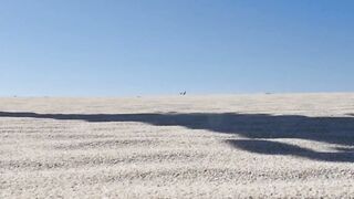 Belgian beauty stripping in the desert