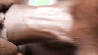 riding that dick crystal cooper cameron congo fucking that tight twat