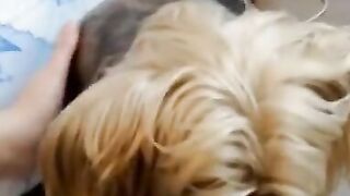 Amazing Chick fingerfucking herself and loving it