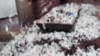 Angry Vandals Use Their Juicy Squirts To Trash A House