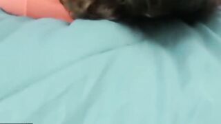(Ashly Andersons) Oral Sex Getting (Brick Danger) Going So He Slips His Long