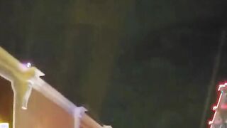 angela la pra dominican bbw freak screwed