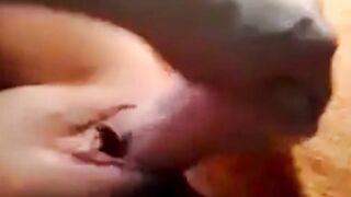 slurping pussy engulfs a big dildo
