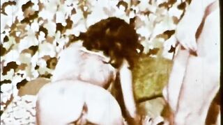 No Holes Barred - 1971 - Linda Lovelace