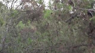 A VAGINA WITH MOUTH KNOWS Lena Love and Lya Missy Lesbo Play